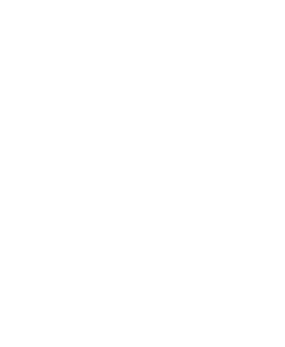 YAO FANG